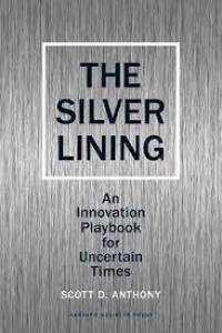 Image of THE SILVER LINING